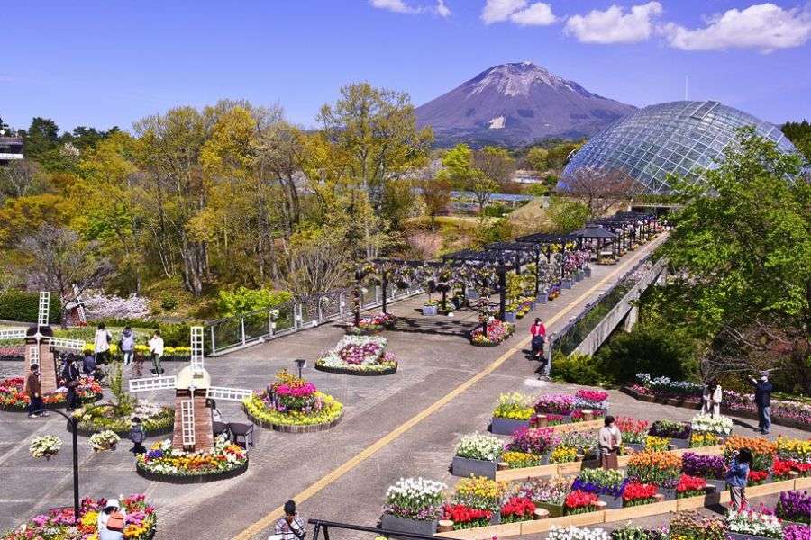 Matsue Castle & Tottori Hanakairo Matsue Castle & Tottori Hanakairo