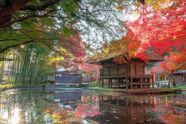 Sacred Land of Hiraizumi