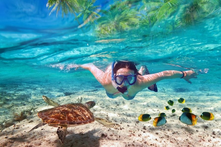 Snorkeling on Maldives shore excursions