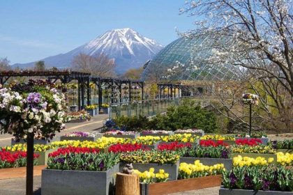 Tottori Hanakairo - Sakaiminato shore excursions