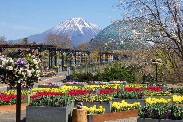 Tottori Hanakairo - Sakaiminato shore excursions