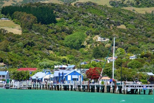 Akaroa Harbour views from Akaroa Cruise Port