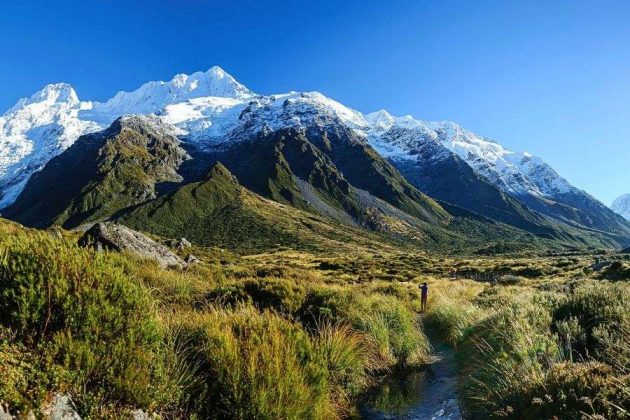 Akaroa Shore Excursions