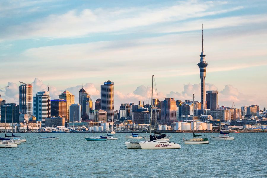 Auckland Shore Excursions and Volcanic Tours from Cruise Port