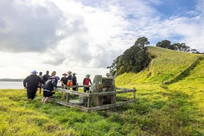 Auckland Volcanic Landscapes and City Tour