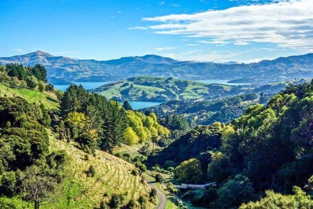 Banks Peninsula scenic lookout from Akaroa Cruise Port