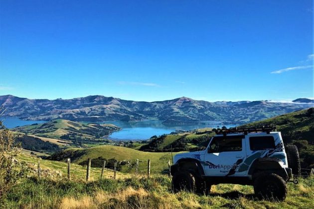 Express Akaroa Scenic Nature Tour
