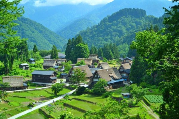 Gokayama Historic Village & Tonami Tulips Experience