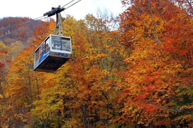 Hakkoda Ropeway above autumn forest