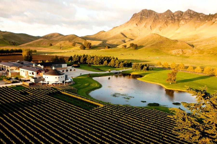 Hawke's Bay Countryside Discovery Tour Hawke's Bay Countryside Discovery Tour