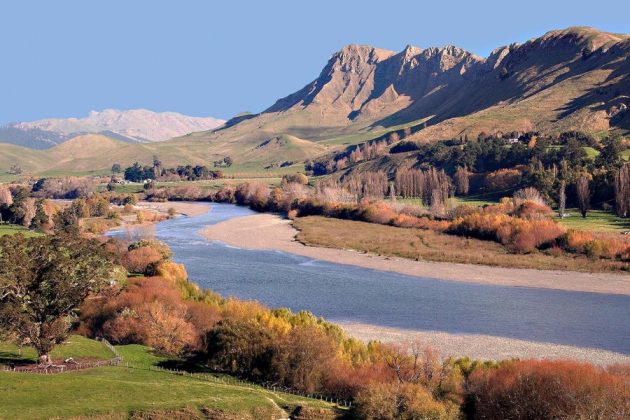 Hawke’s Bay Countryside - Napier shore excursions