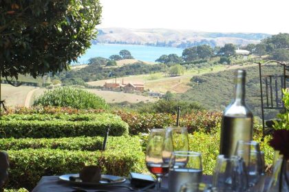 Kumeu vineyards and countryside from Auckland cruise port