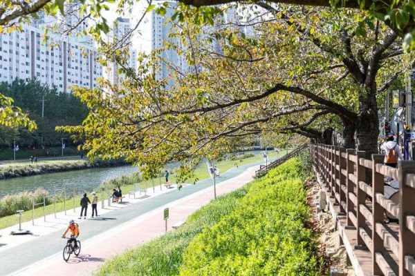 Local street in Namcheon dong Busan