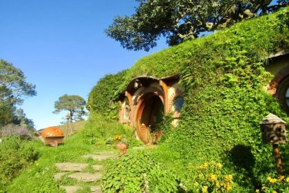 Lord of the Rings tour - Wellington shore excursions