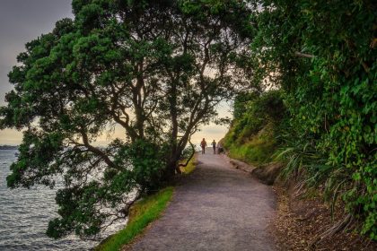 Minden Lookout - Tauranga shore excursions