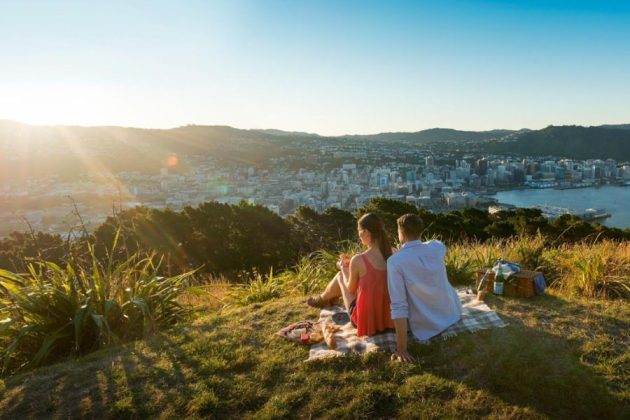 Mount Victoria Lookout - Wellington excursions