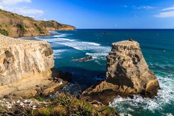 Muriwai coastal rock formations from Auckland cruise port
