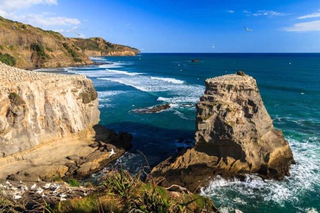 Muriwai coastal rock formations from Auckland cruise port