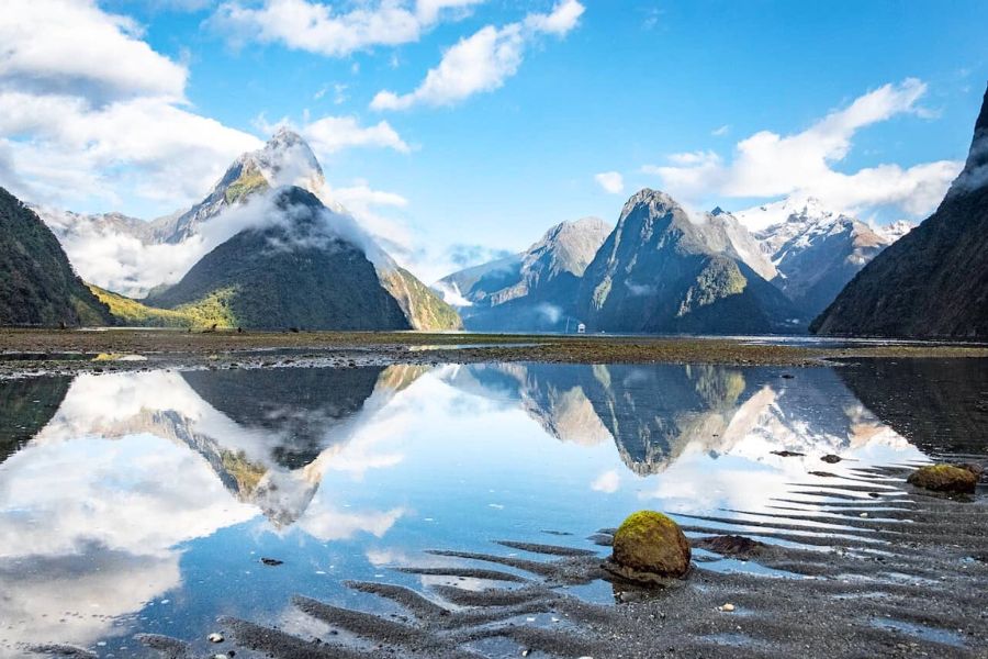 New Zealand Shore Excursions and Scenic Tours for Cruise Passengers