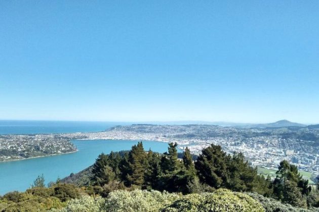 Panoramic view from Signal Hill, Dunedin