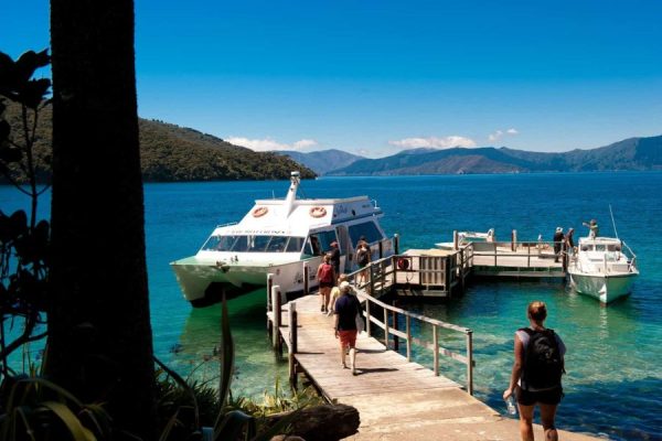 Queen Charlotte Cruise Tour from Picton port