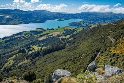 Scenic Lookouts from Akaroa cruise port