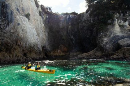 Tauranga Shore Excursions