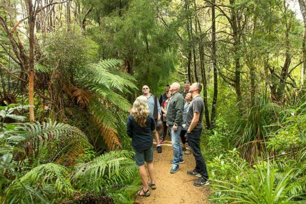 The Best of Auckland West Coast