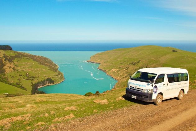 Van driving along Pohatu Reserve coastline