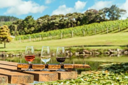 Vineyard in Auckland's Kumeu region