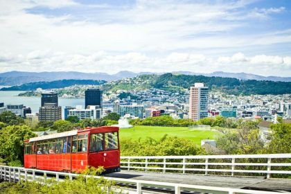 Wellington Shore Excursions