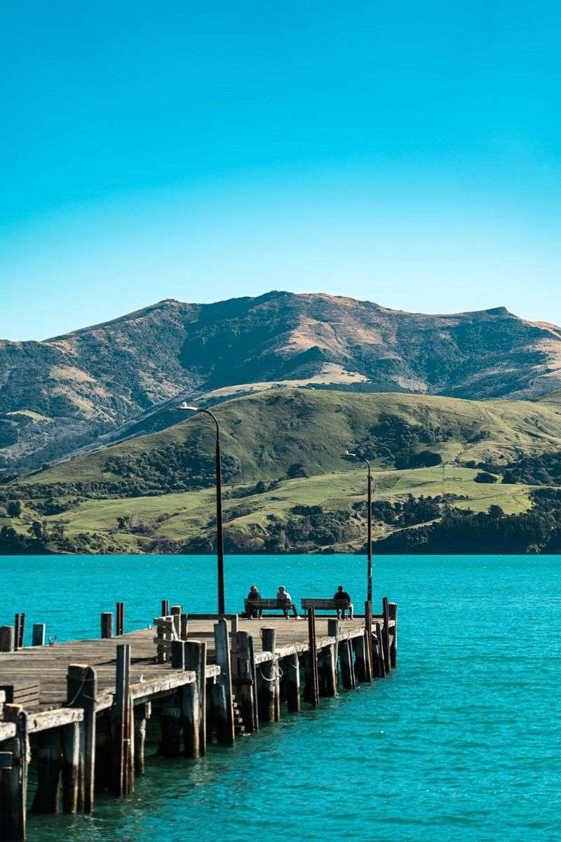 Akaroa Harbour Akaroa shore excursions