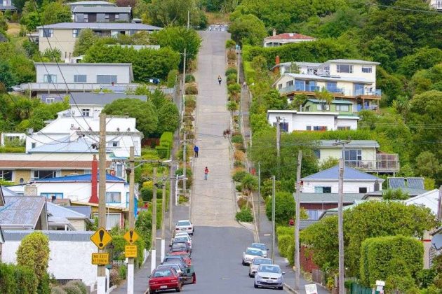Baldwin Street Dunedin from Dunedin Cruise Port