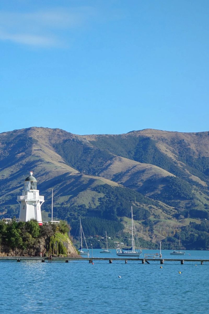 Banks Peninsula Akaroa shore excursions