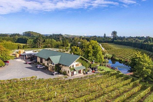 Bay of Islands vineyard views from Paihia cruise port