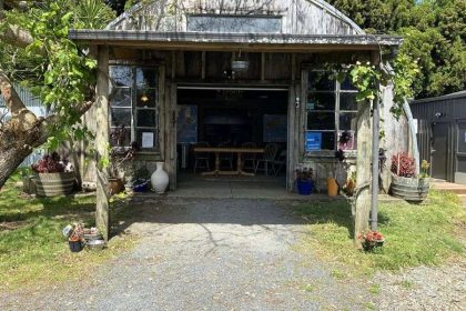 Fat Pig Vineyard from Paihia cruise port