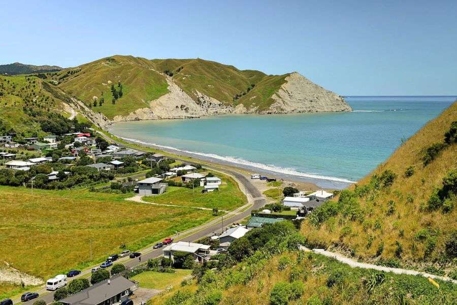 Cape Kidnappers -Napier shore excursions