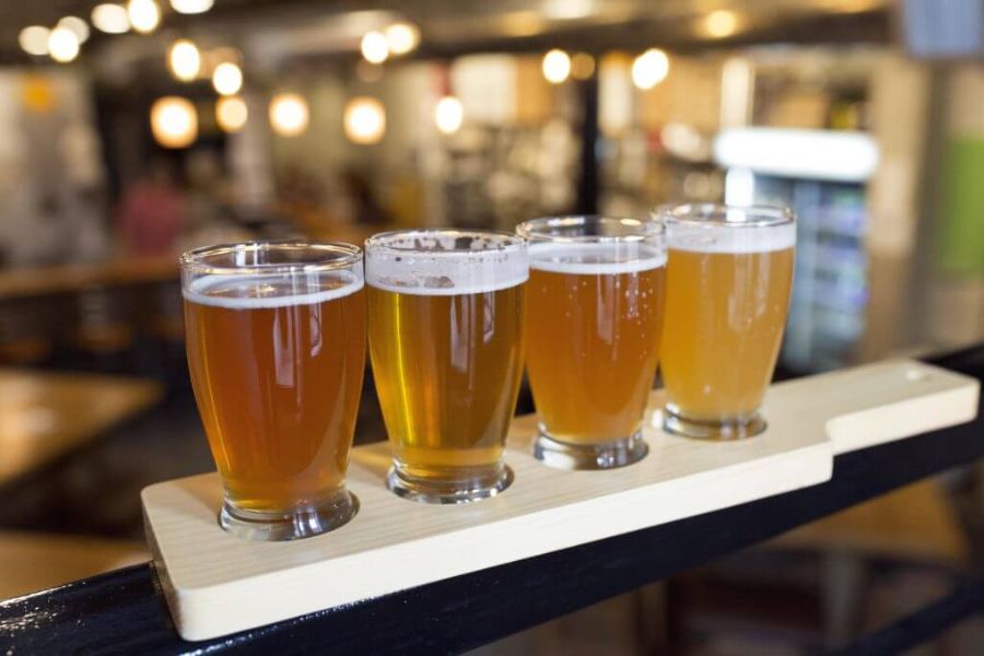 Craft beer tasting -Wellington shore excursions