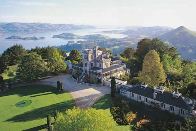 Dunedin Highlights and Larnach Castle Tour