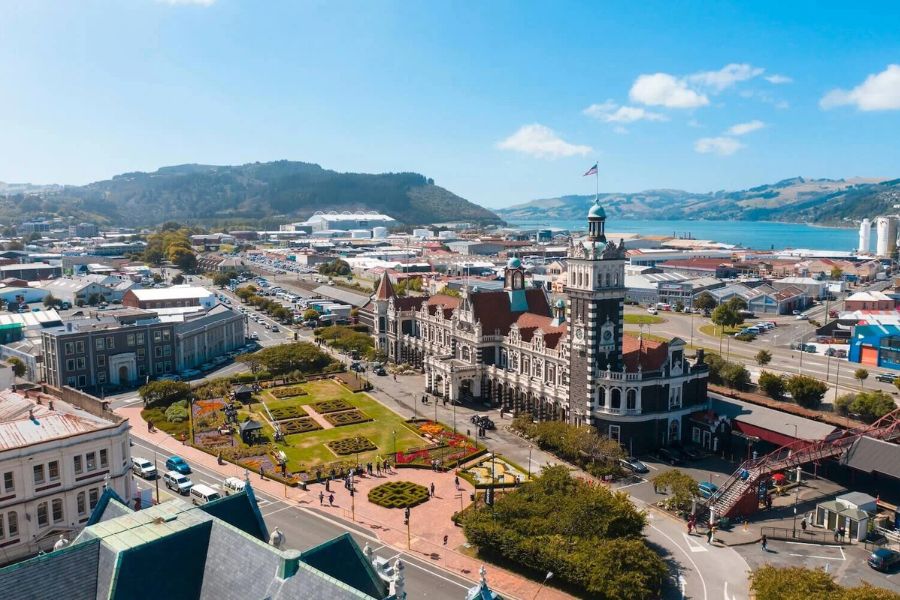 Dunedin city view -Dunedin shore tours