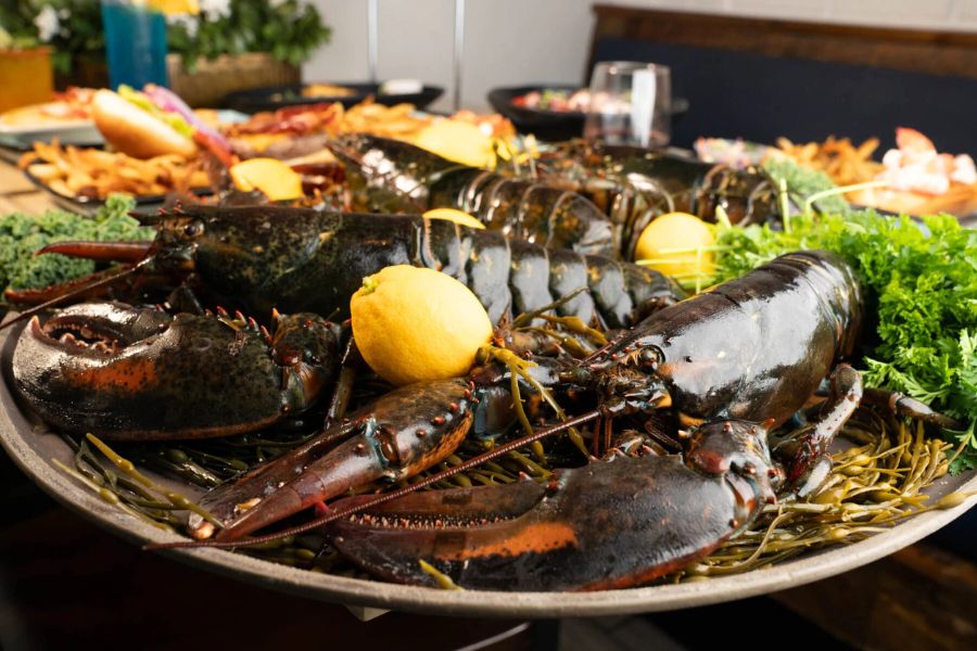 Fresh seafood -Dunedin shore excursions