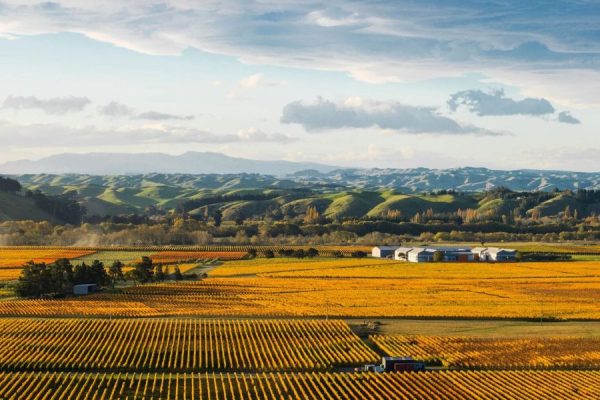 Gimblett Gravels from Napier cruise port