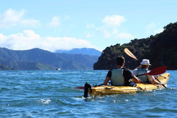 Group kayaking Queen Charlotte Sound