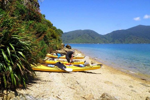 Kayaking in Queen Charlotte Sound