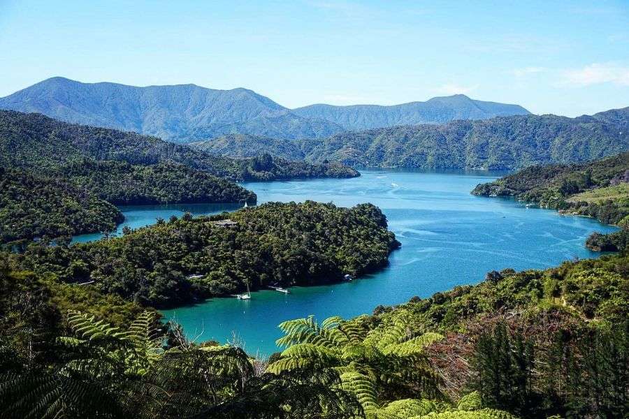 Marlborough Sounds -Picton shore excursions