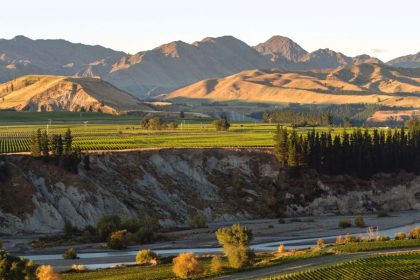 Marlborough vineyards with mountain