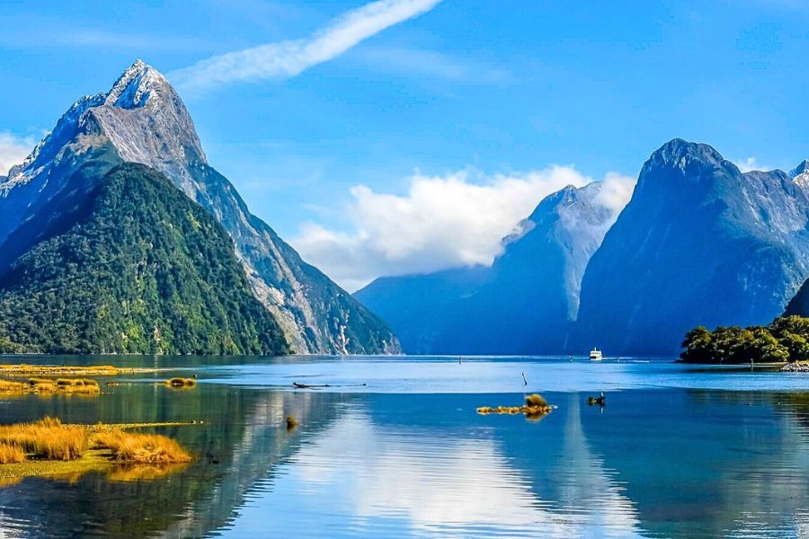 Milford Sound New Zealand cruise excursions