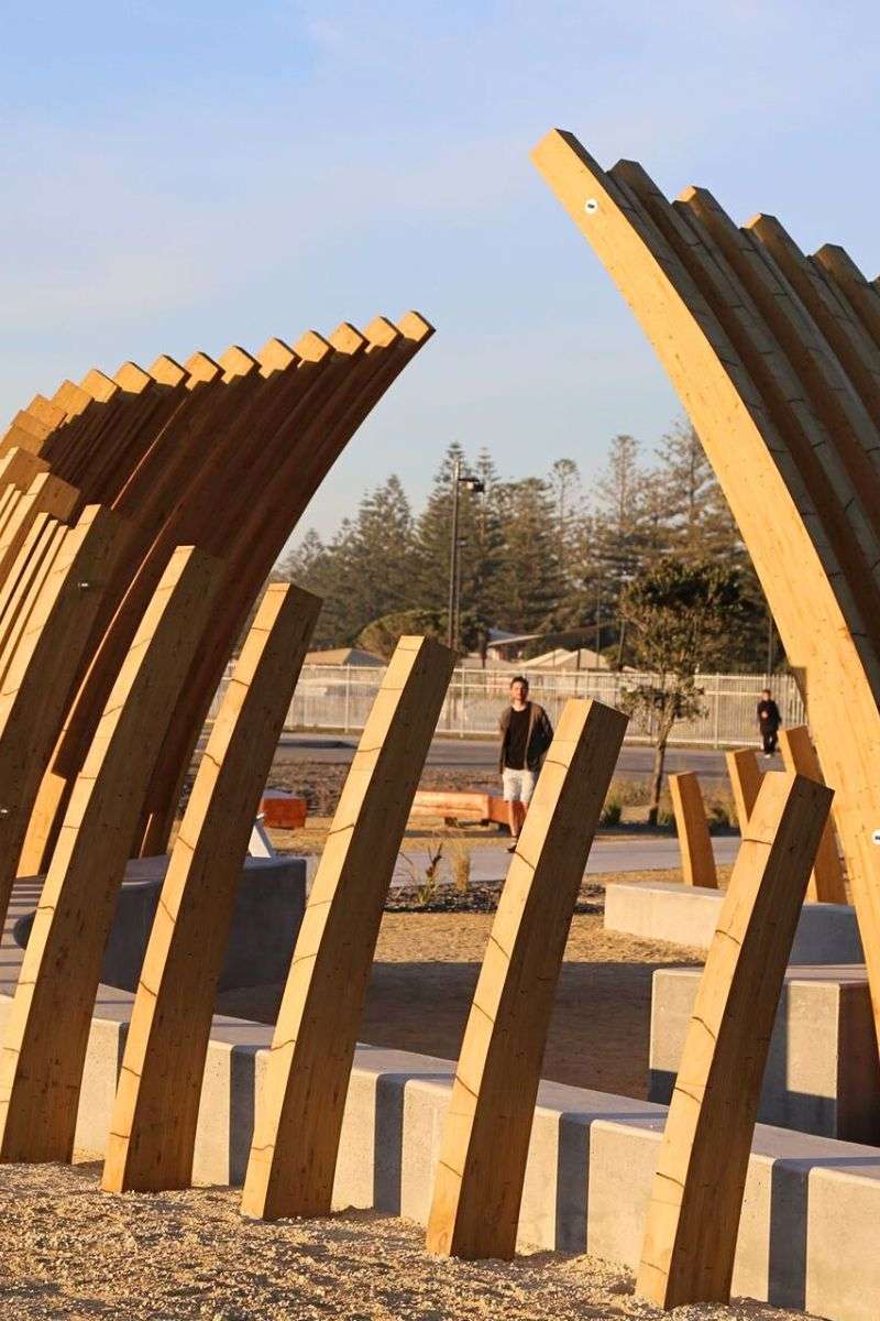 National Aquarium -Napier shore excursions