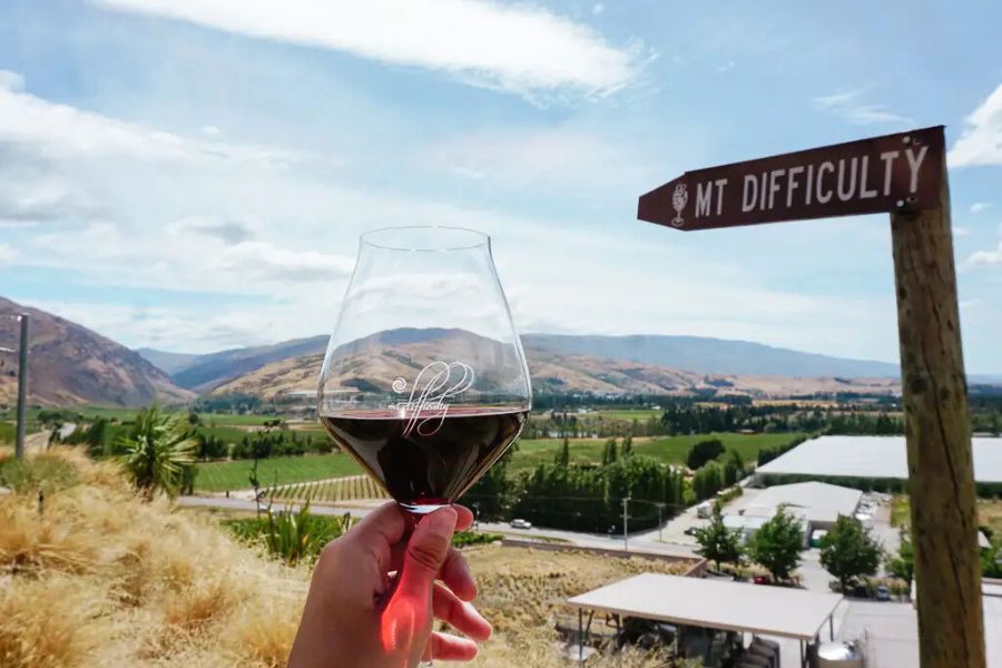 Otago wine tasting - Dunedin shore tours
