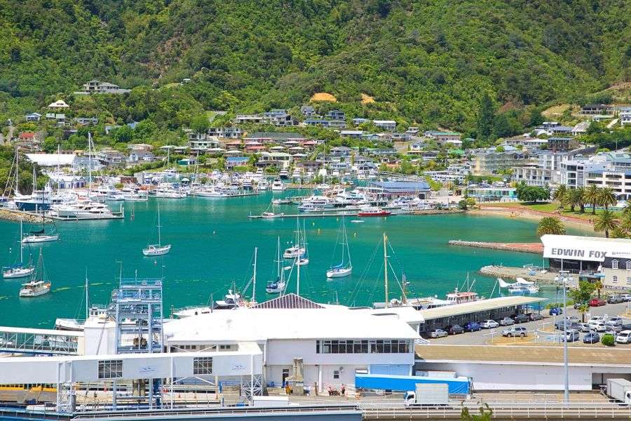 Picton Shore Excursions and Wine Tasting Tours from Cruise Port